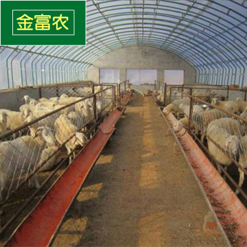 厂家直销镀锌管养殖牲畜温室大棚 抗风防寒鸡鸭猪养殖大棚定制